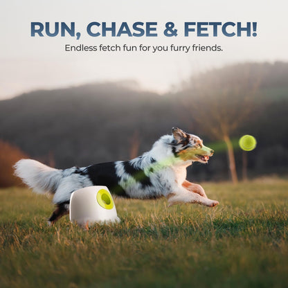 Automatic Dog Ball Launcher (PREMIUM),Interactive Fetch Toy for small to Large Dogs, Rechargeable Pet Ball Thrower Machine for Outdoor Play, 3 Pcs 2.5-Inch Balls Included