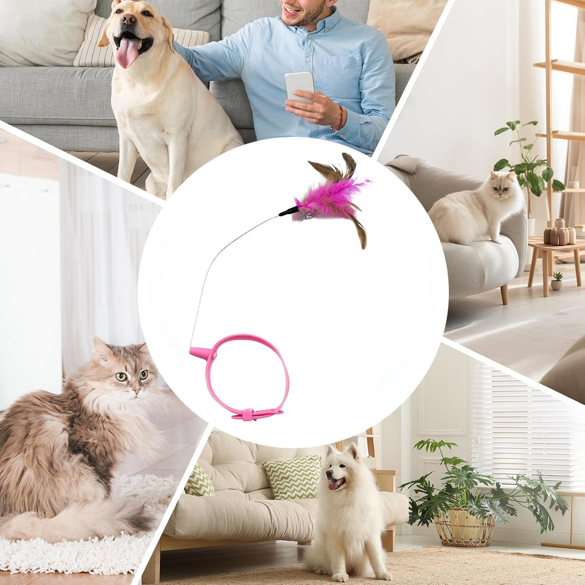 Interactive Cat Toy - Lightweight Collar Toy, Feathers Teaser for Kittens Adult Cats, Pet Toys with Adjustable Strap, Cat Feathers Toys, Teasing Wand for Home Yard Outdoor Play