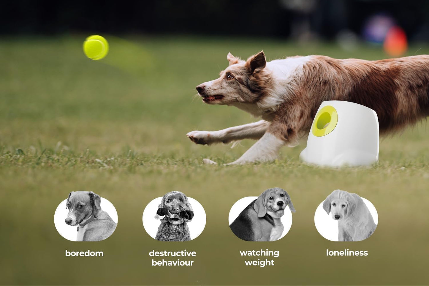 Automatic Dog Ball Launcher (PREMIUM),Interactive Fetch Toy for small to Large Dogs, Rechargeable Pet Ball Thrower Machine for Outdoor Play, 3 Pcs 2.5-Inch Balls Included