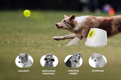 Automatic Dog Ball Launcher (PREMIUM),Interactive Fetch Toy for small to Large Dogs, Rechargeable Pet Ball Thrower Machine for Outdoor Play, 3 Pcs 2.5-Inch Balls Included