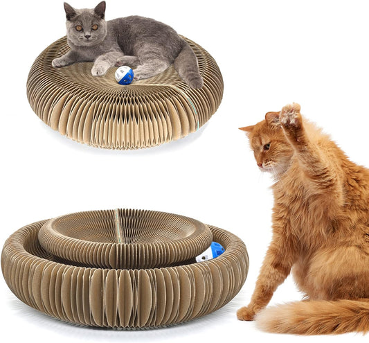 Kitty Curls cat Toy Foldable Magic Organ Cat Scratching Board Cat Ball Adventure The Ultimate Interactive Mental Physical Exercise for Indoor Cats Toy